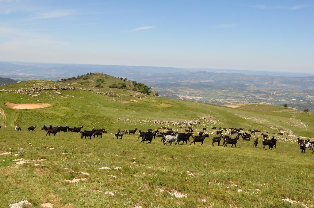 Aire De Colldejou Ξενοδοχείο Εξωτερικό φωτογραφία